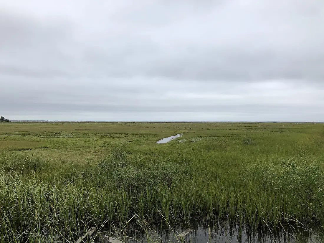 2018-09-14 15 52 11 View north across salt marshes within the Edwin B. Forsythe National Wildlife Refuge from Atlantic County Route 561 Alternate (Oyster Creek Road-Moss Mill Road) in Galloway Township, Atlantic County, New Jersey