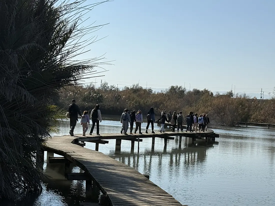 124391 ein afek reserve - swamp trail PikiWiki Israel