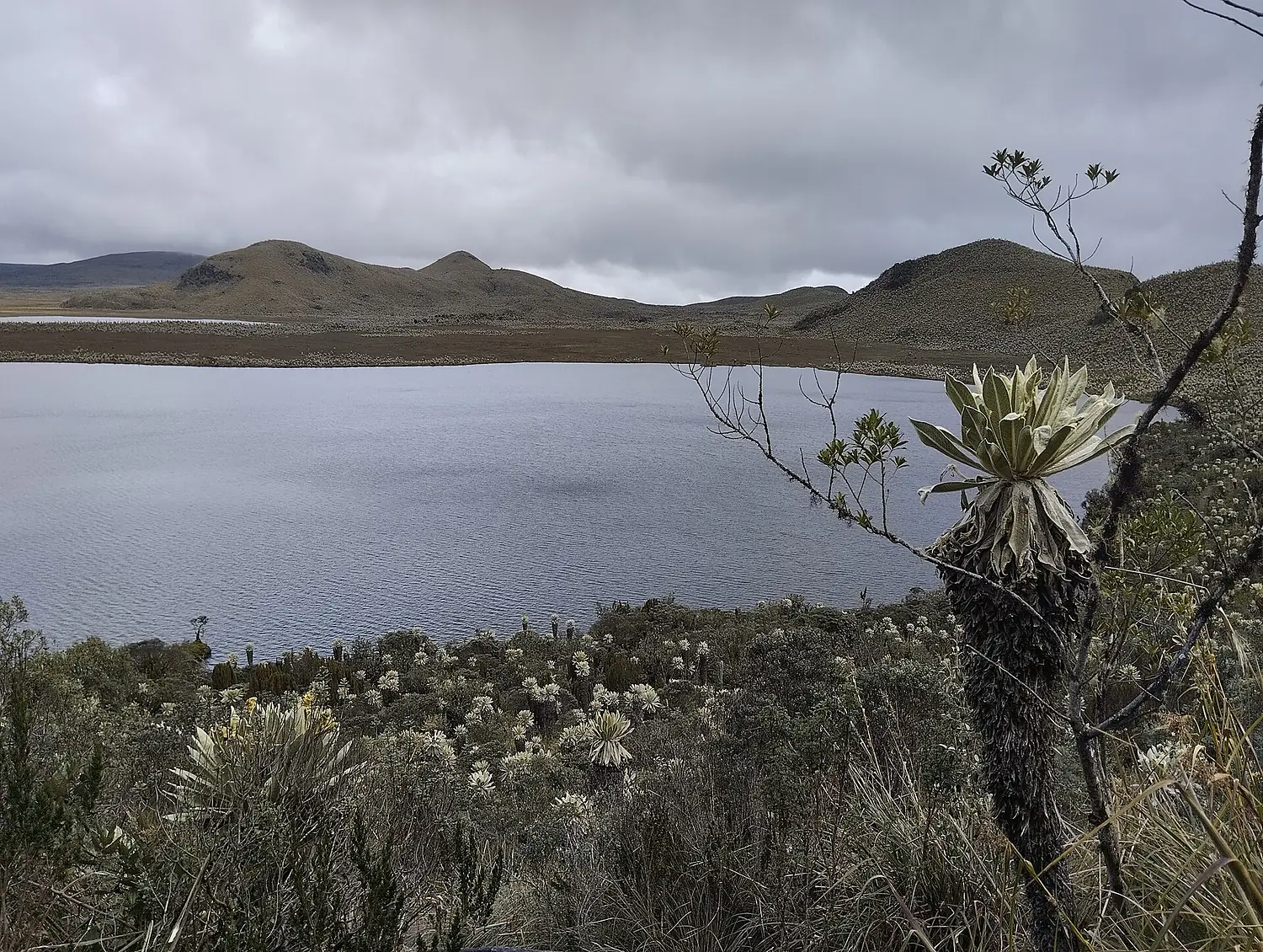"El Voladero" lagoons in the "Reserva Ecológica El Angel"