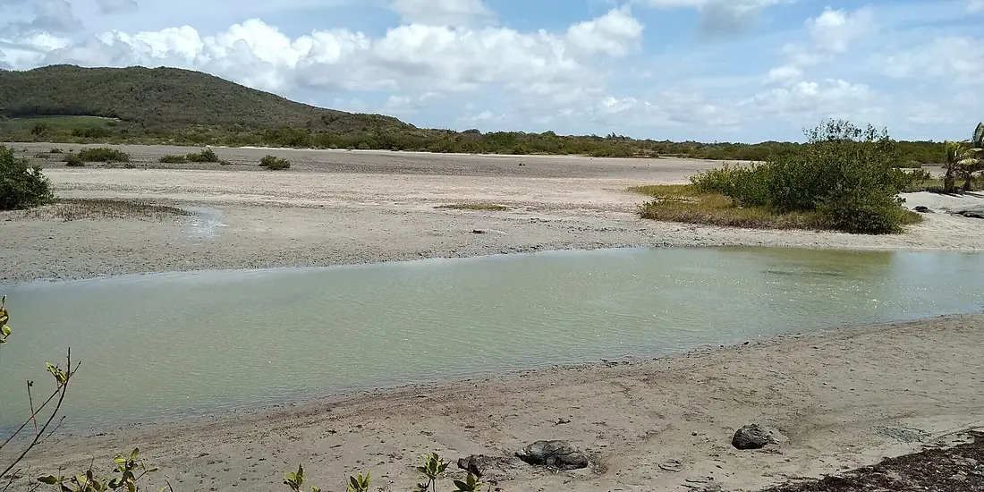 Etang des Salines canal de liaison à la mer