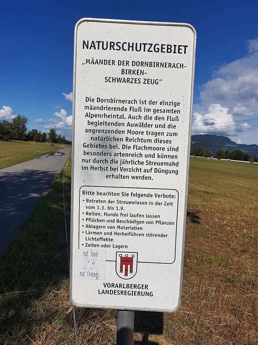 Dornbirn-Naturschutzgebiet-Mäander Dornbirnerach-Birken-Schwarzes Zeug-99ASD