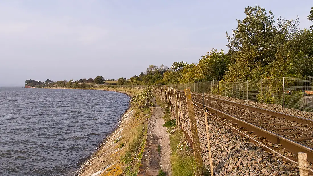 Exe Estuary alongside the Avocet Line