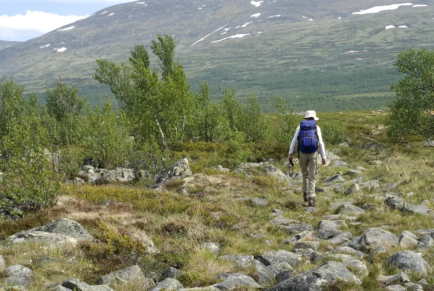 N, Oppland, Dovre, Fokstumyra 25, Saxifraga-Jan van der Straaten