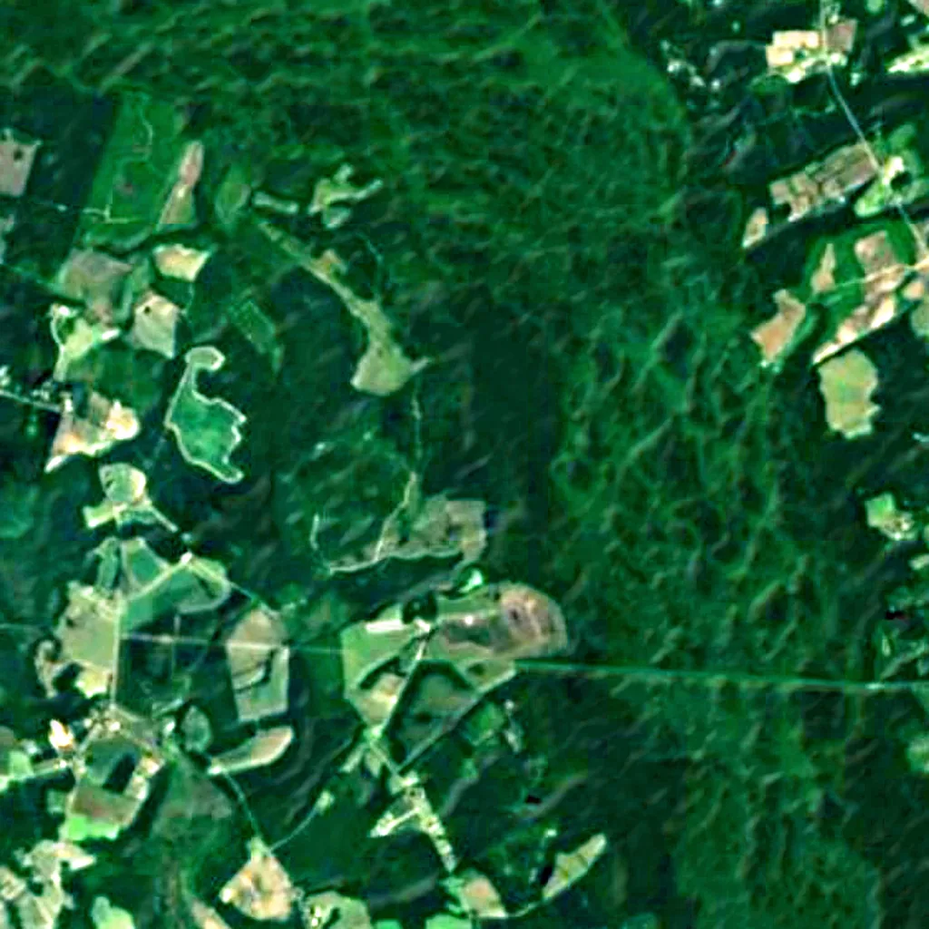 Francis Beidler Forest seen from above (Sentinel-2)