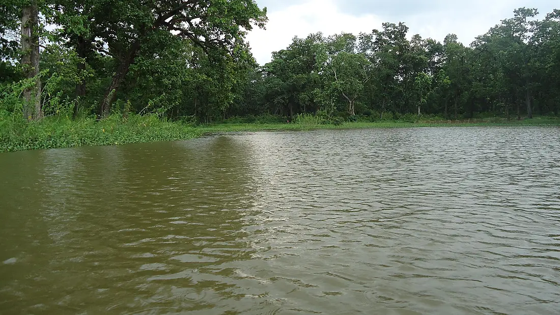 Ghodaghodi Tal 1