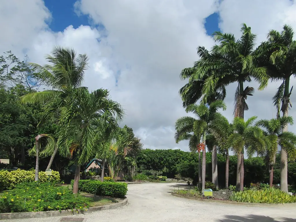 Graeme Hall Nature Sanctuary (46693794155)
