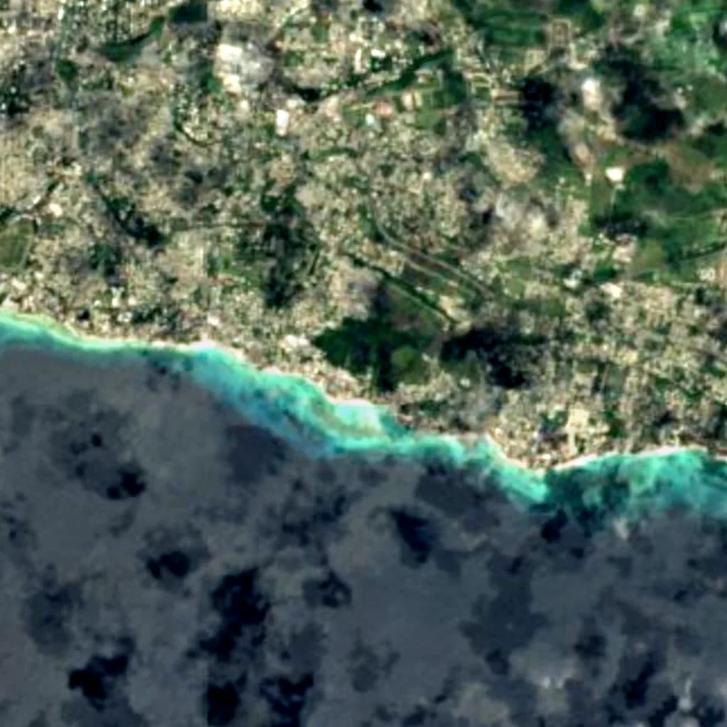 Graeme Hall Nature Sanctuary seen from above (Sentinel-2)