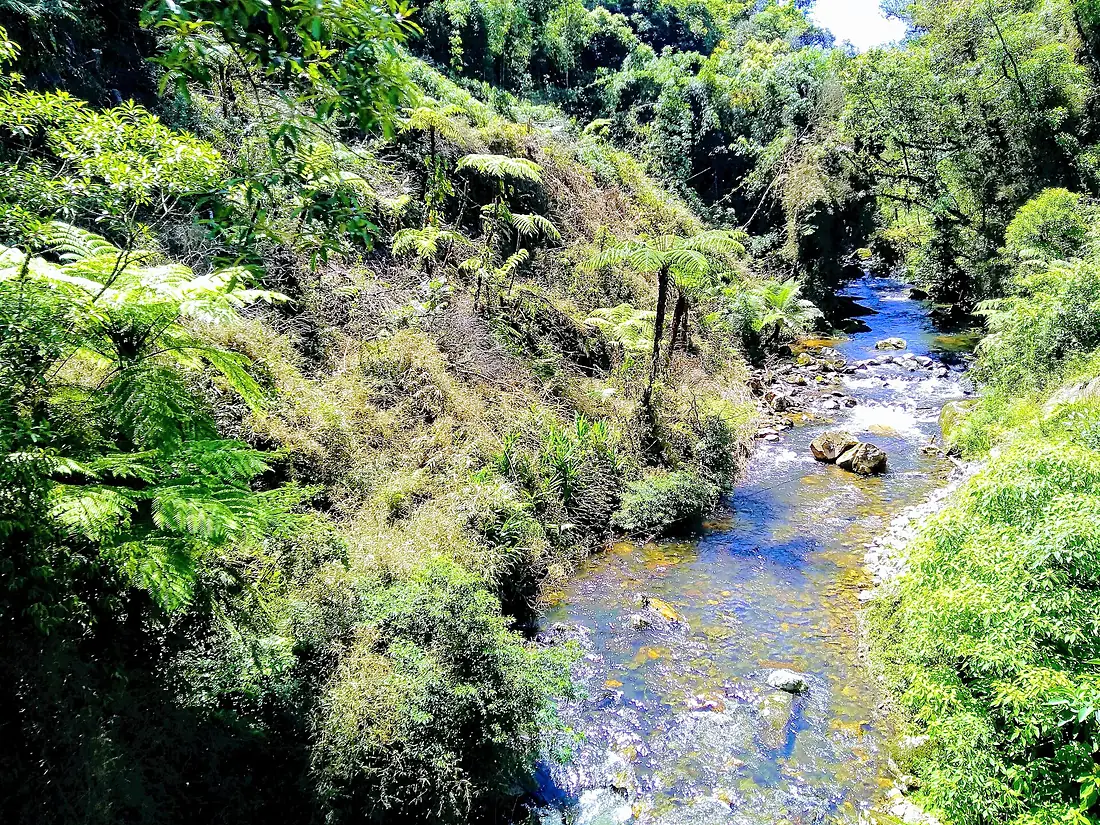 Córrego no Parque Estadual do Pico Marumbi