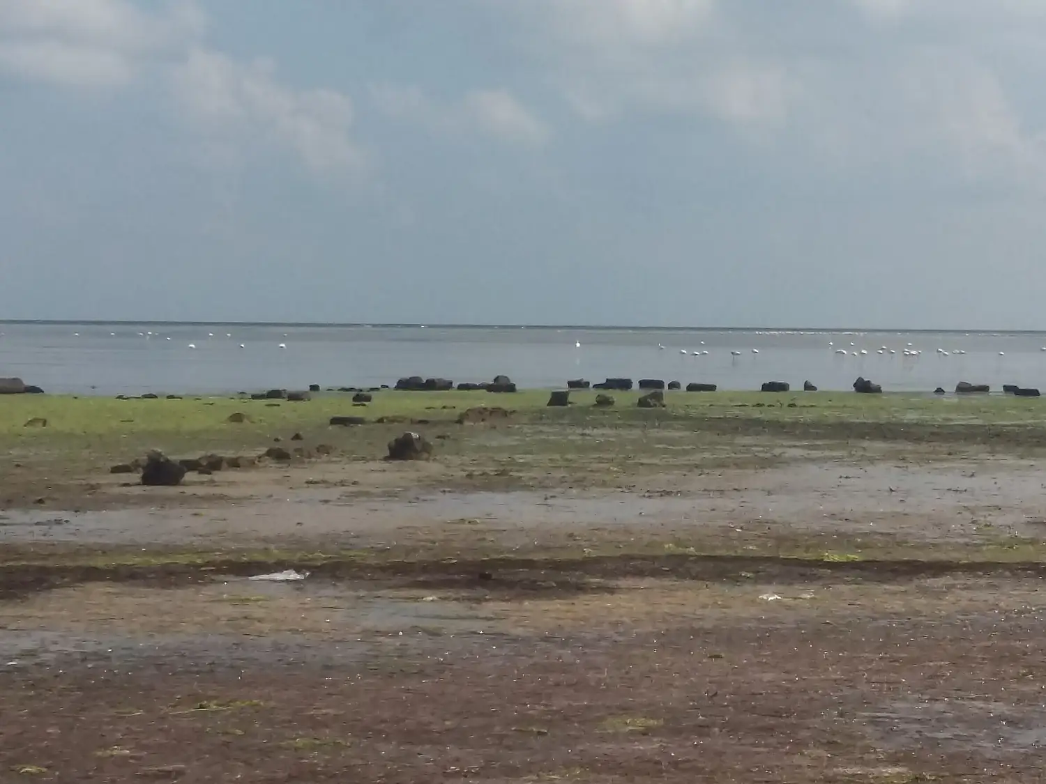 Golfe de Boughrara 39