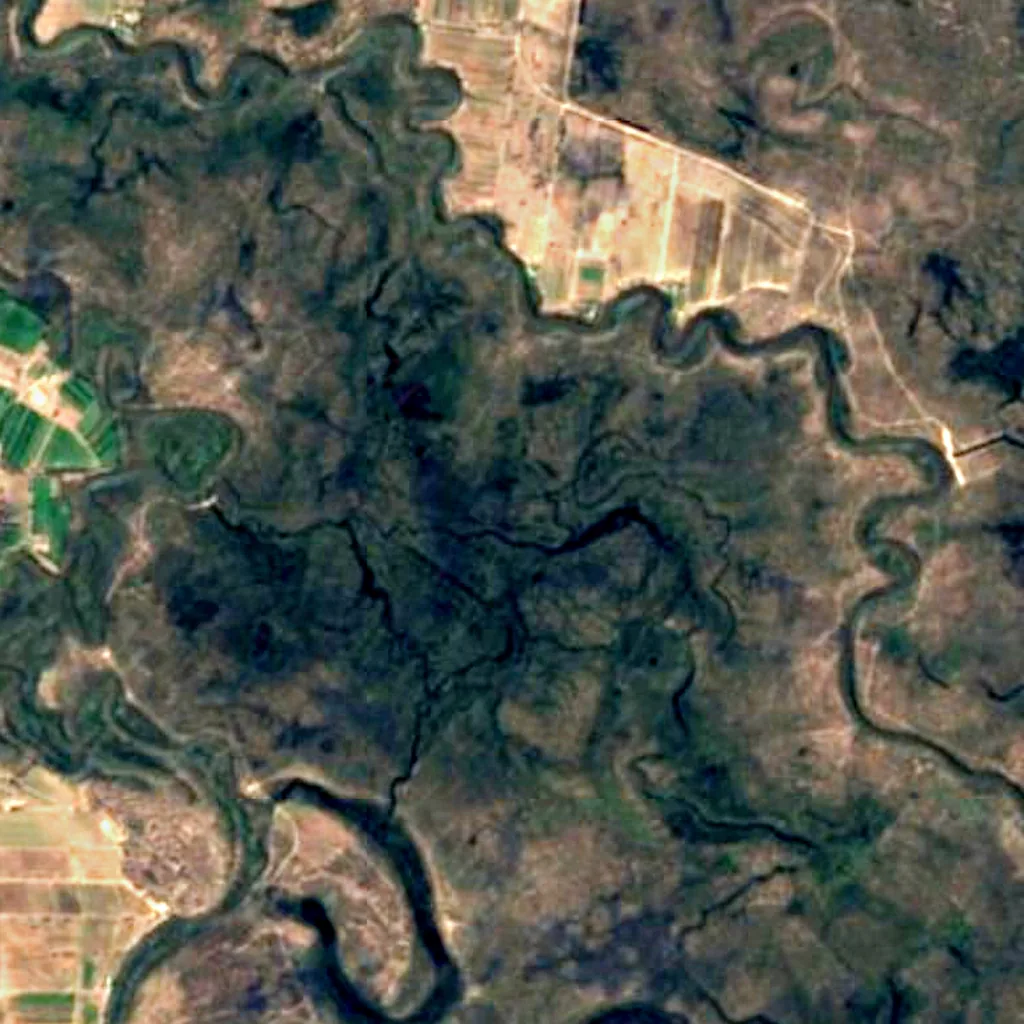 Gunbower National Park seen from above (Sentinel-2)