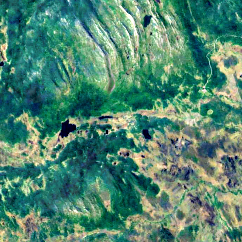 Henvålen Nature Reserve seen from above (Sentinel-2)