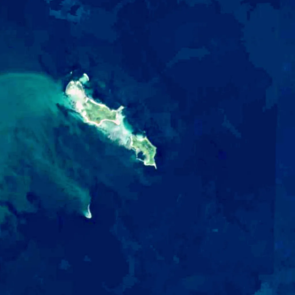 Hirsholmene seen from above (Sentinel-2)