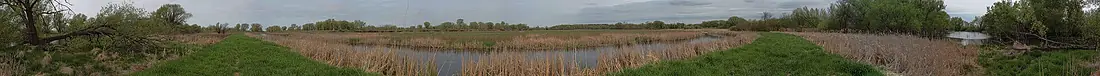 Horicon Marsh in the Spring