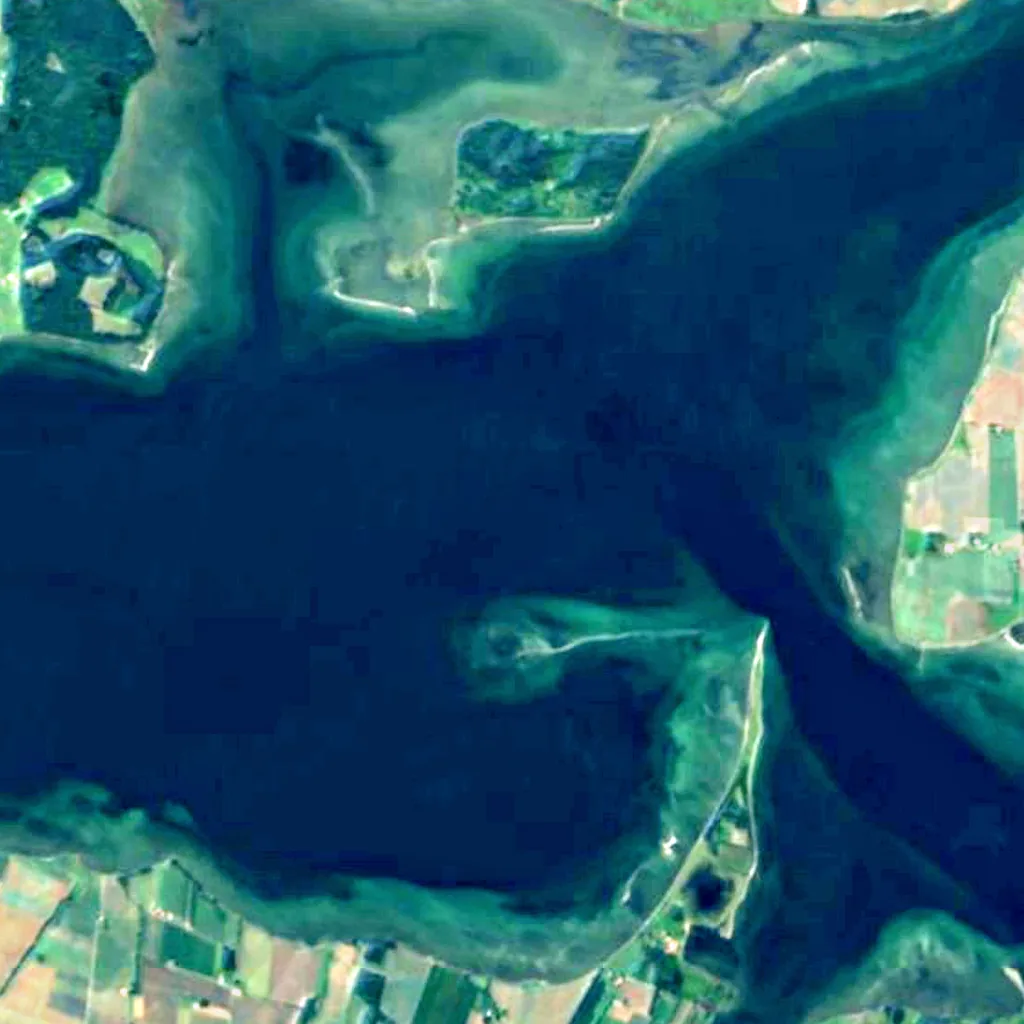 Horsens Fjord seen from above (Sentinel-2)