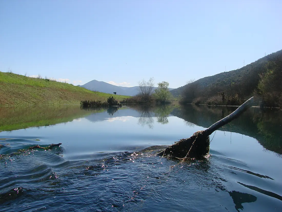 Hutovo Blato . 28. 03. 2010 - panoramio - d.graso (1)