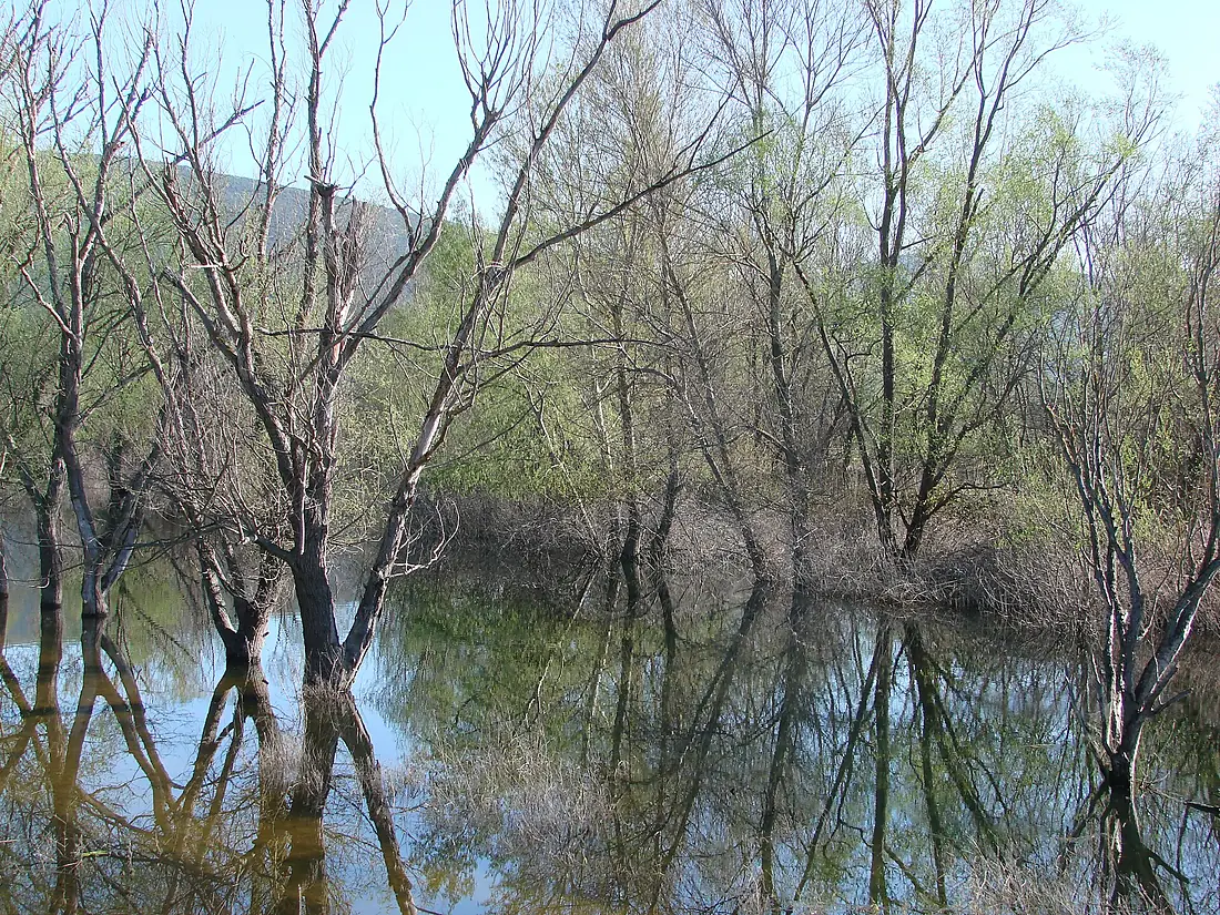 Hutovo Blato . 28. 03. 2010 - panoramio - d.graso