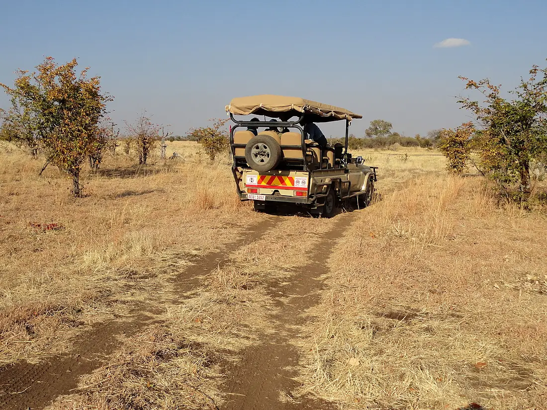Hwange National Park, Zimbabwe (48594846186)