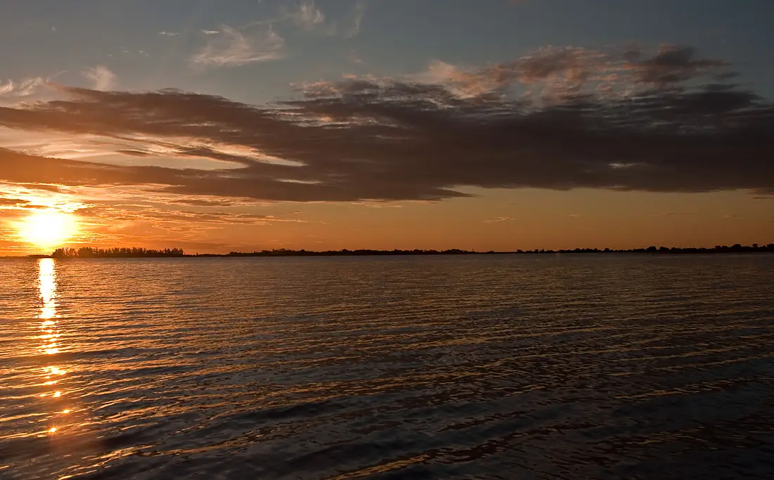 Esteros Del Ibera, Corrientes, Argentina, 2nd. Jan 2011 - Flickr - PhillipC (2)