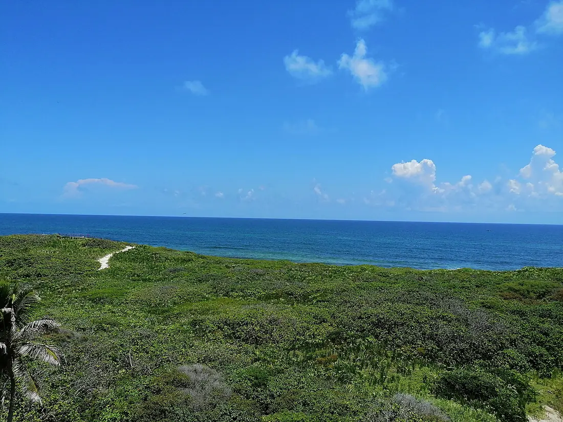 Paisaje del sendero de las dunas Parque Nacional Isla COntoy