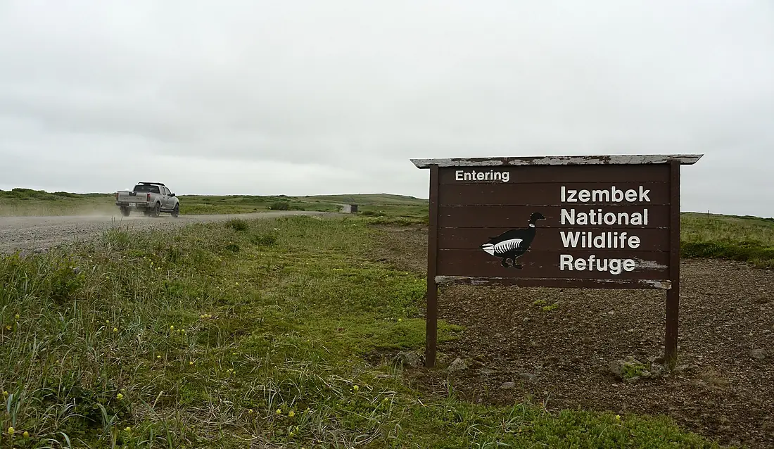 210716 Izembek road (51325234861)