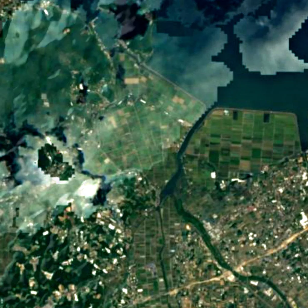Izumi crane migration grounds seen from above (Sentinel-2)
