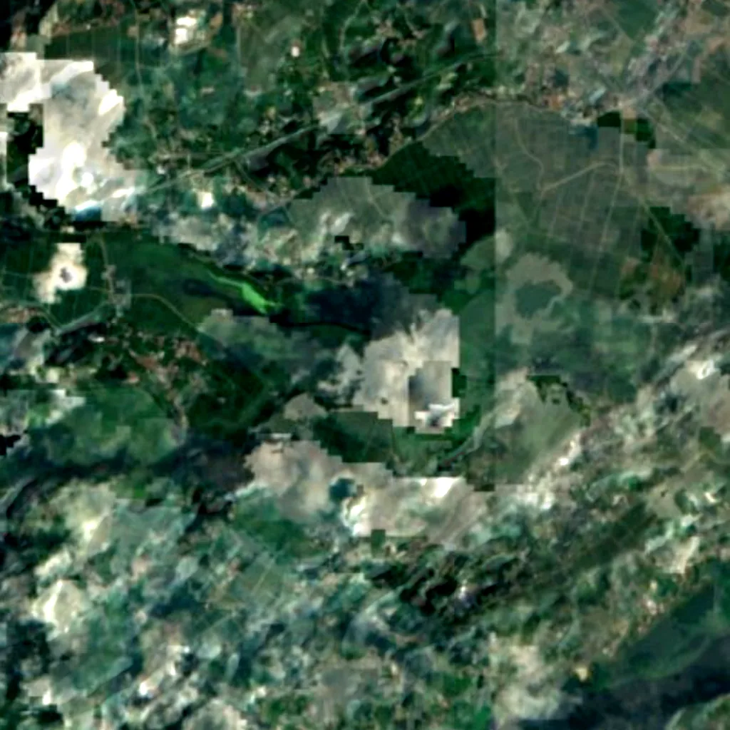 Izunuma-Uchinuma seen from above (Sentinel-2)