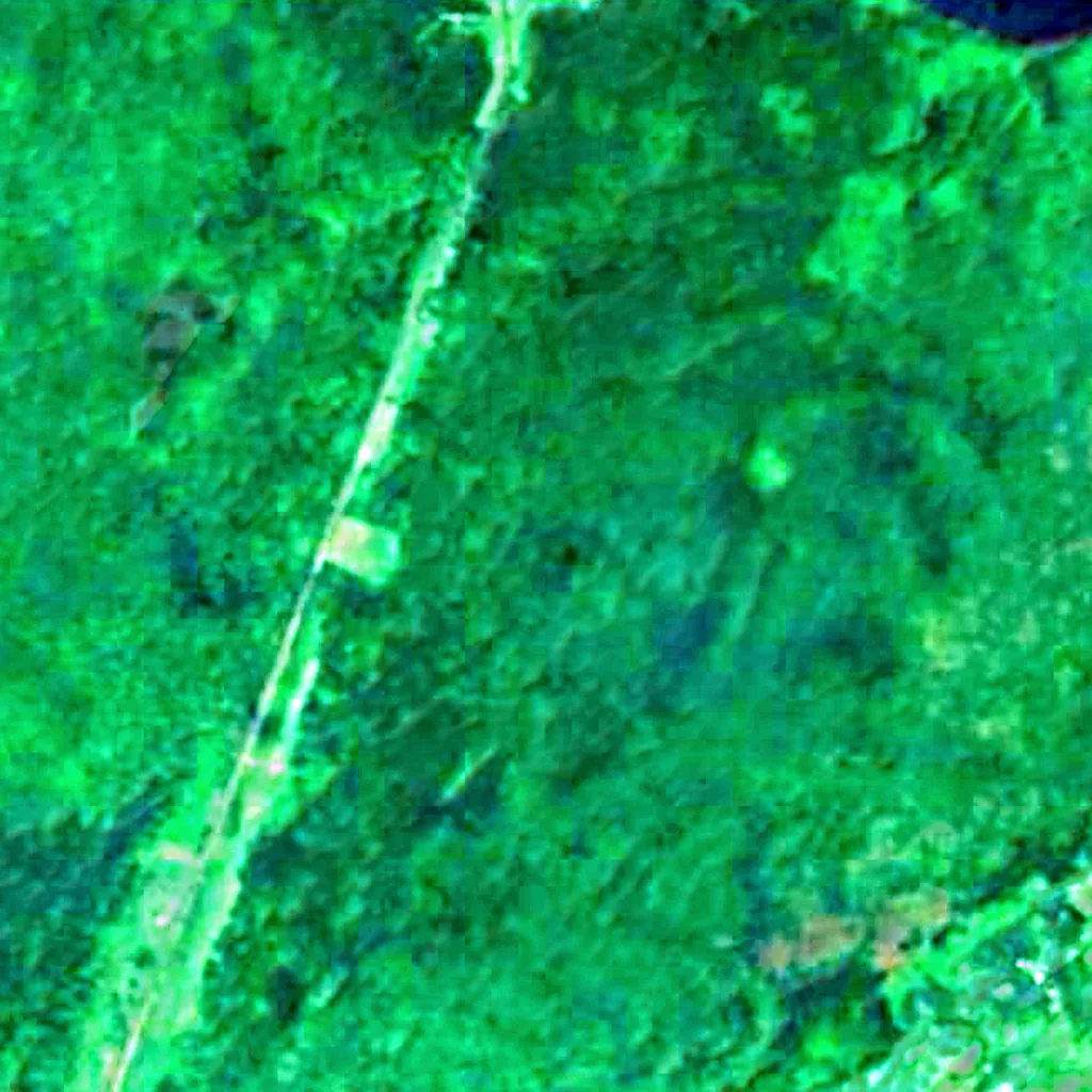 Jeanette Kawas National Park seen from above (Sentinel-2)
