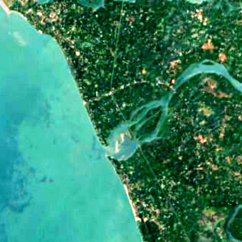 Kadalundi Bird Sanctuary seen from above (Sentinel-2)