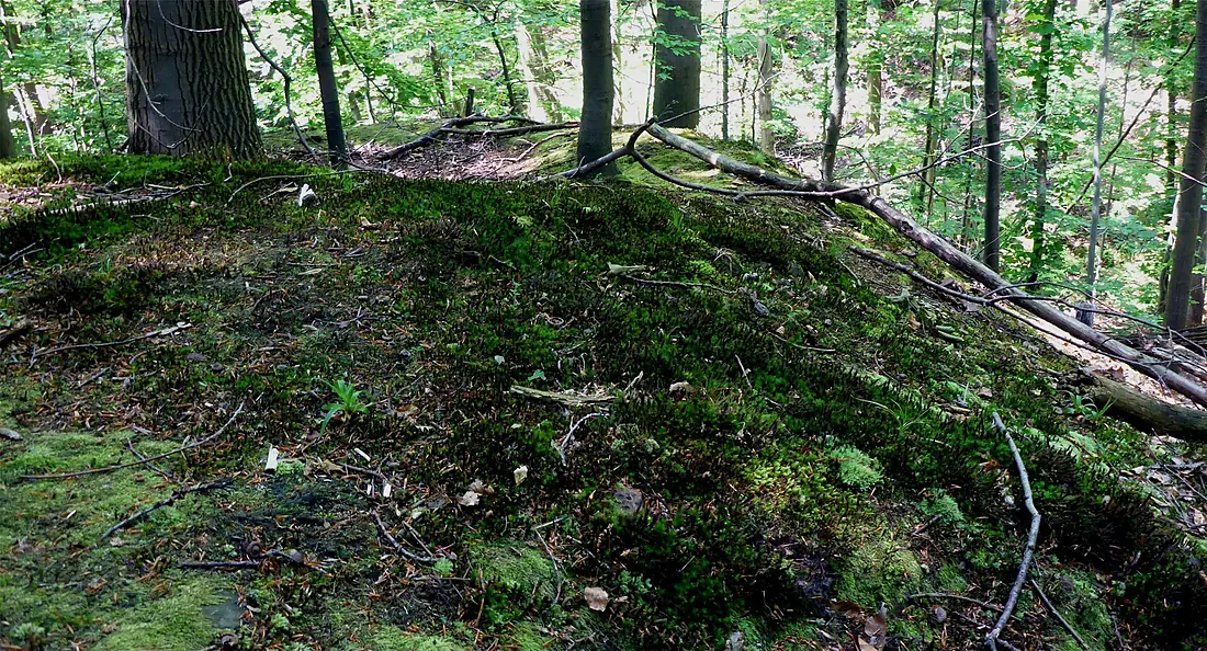 Kälberklamm und Hasenklamm NSG BW KA a