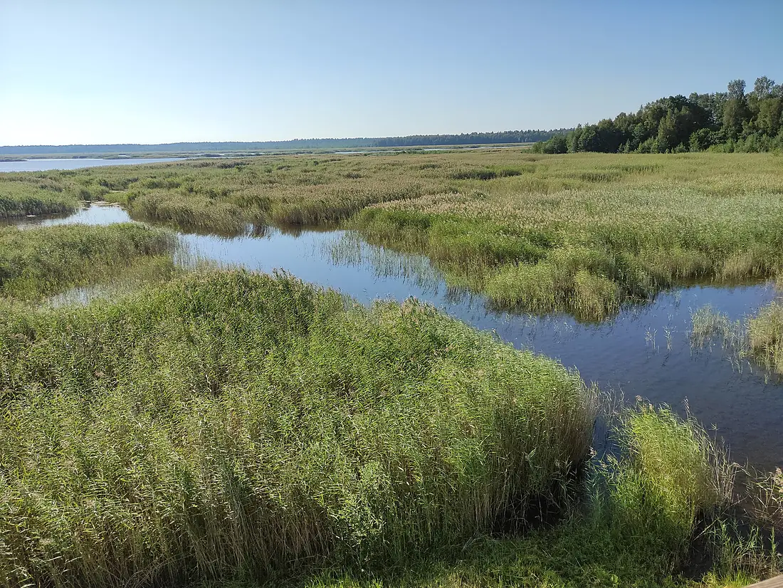 Jezero Kaņieris, kraj Tukums, Lotyšsko 01