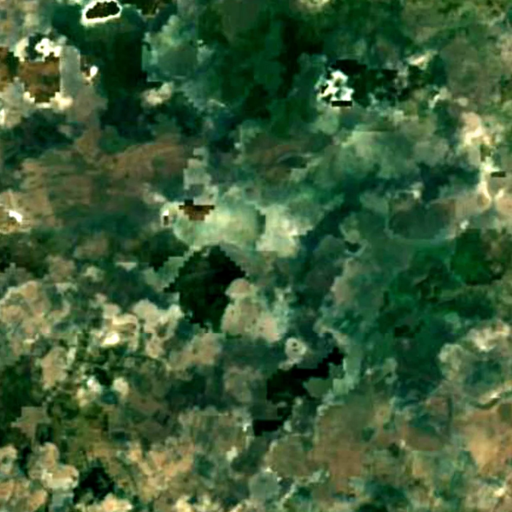 Kanwar Lake Bird Sanctuary seen from above (Sentinel-2)