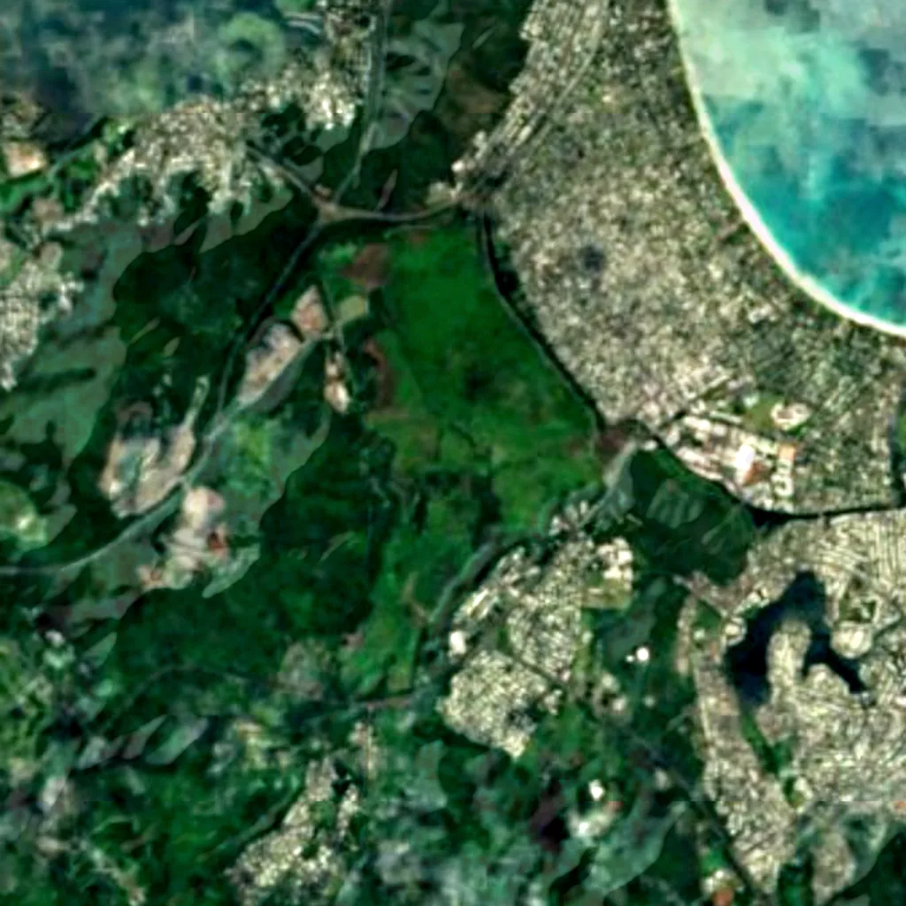 Kawai Nui Marsh seen from above (Sentinel-2)