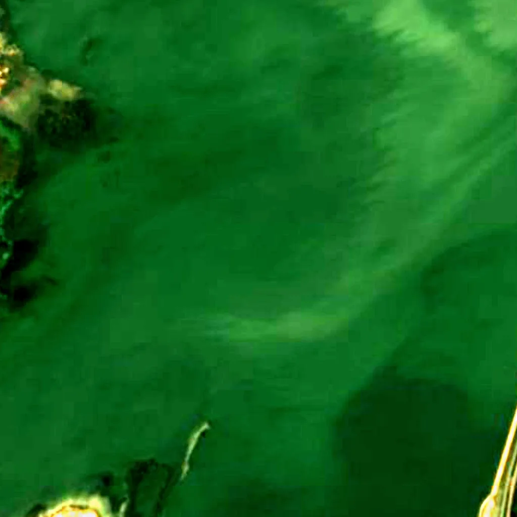 Keenjhar Lake seen from above (Sentinel-2)
