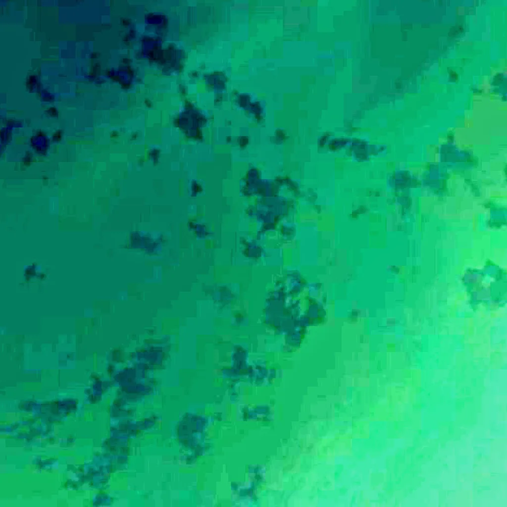 Khar-Us Lake seen from above (Sentinel-2)