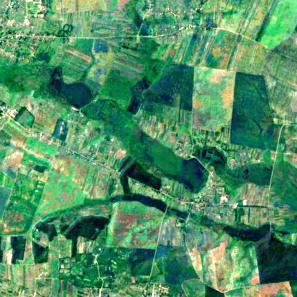 Kholoniv nature reserve seen from above (Sentinel-2)