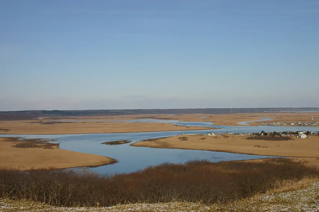 Kiritapppu Wetlands