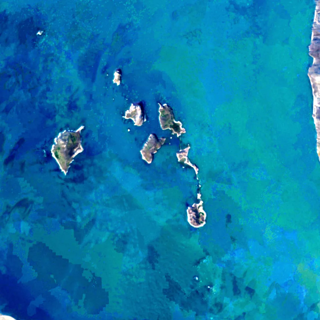 Kongsfjorden Bird Sanctuary seen from above (Sentinel-2)