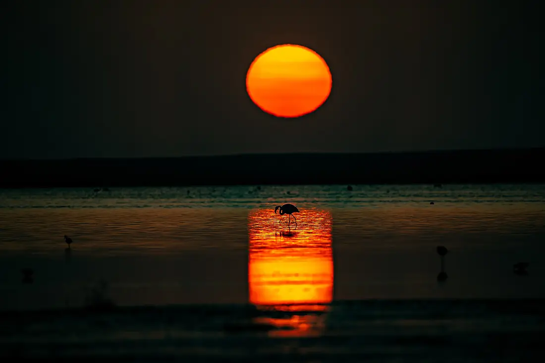 Sunset in Korgalzhyn Nature Reserve