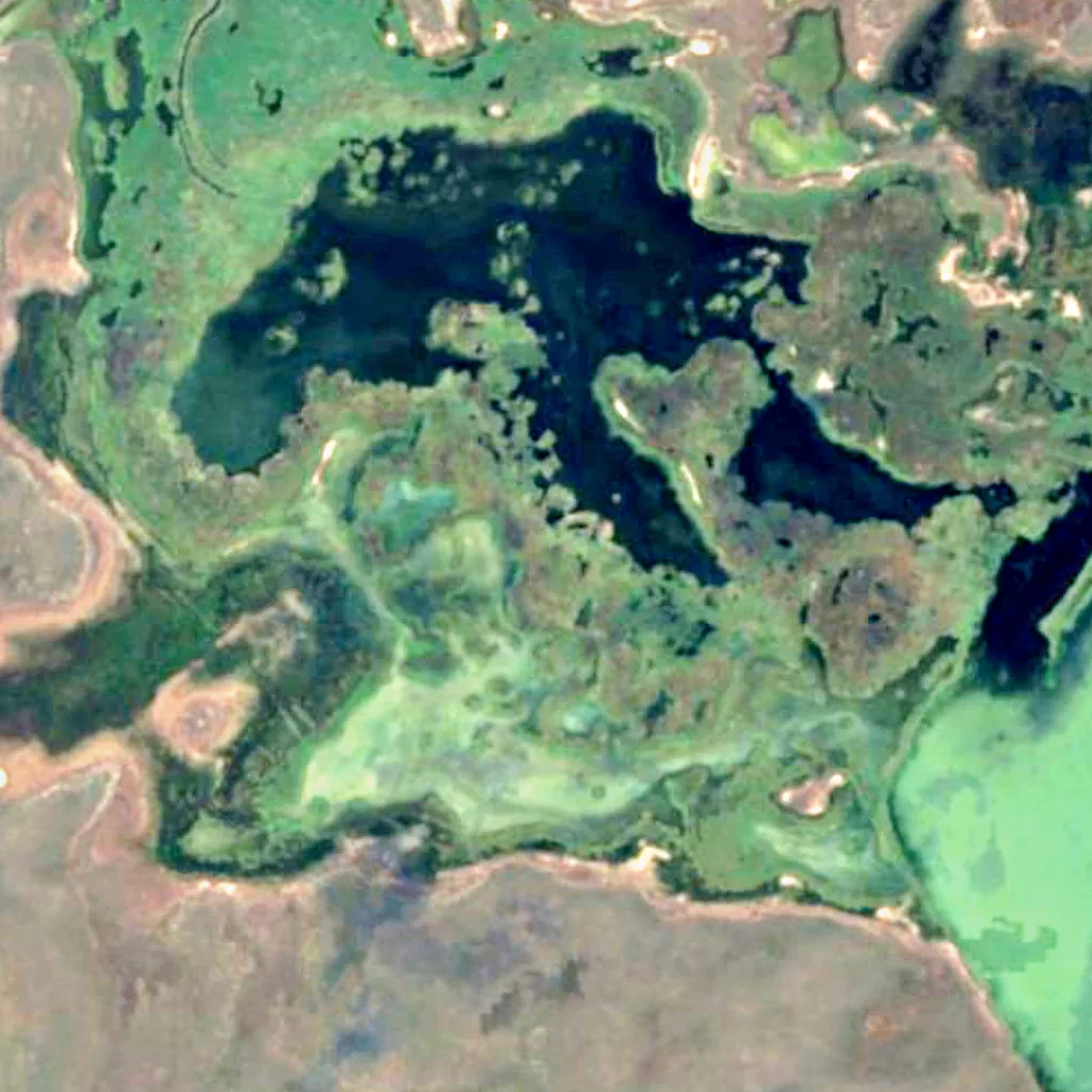 Korgalzhyn Nature Reserve seen from above (Sentinel-2)