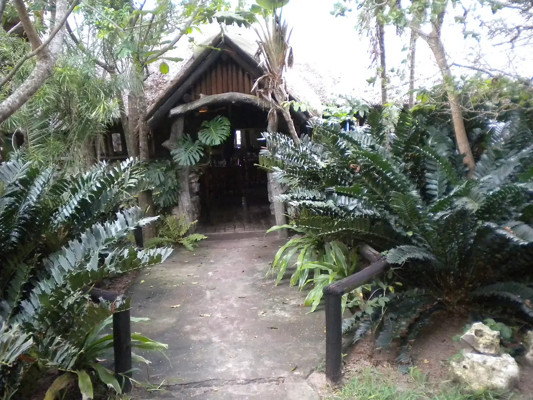 Kosi Bay Lodge - 2010-04-04 - 66600012