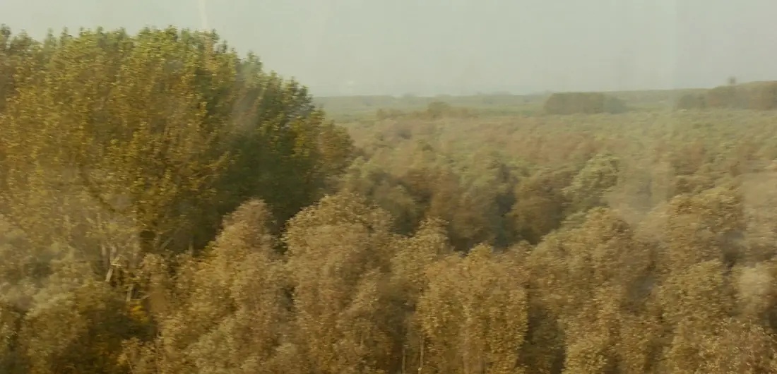 Kovilj-Petrovaradin 3