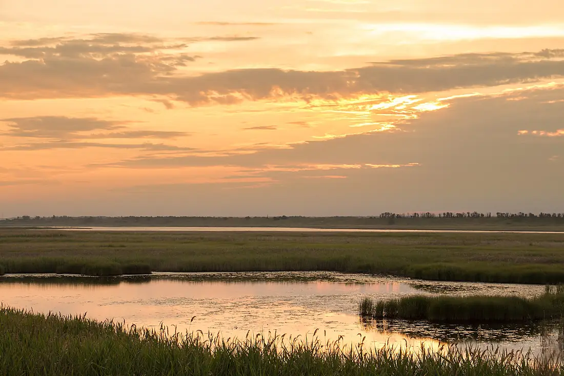 Peaceful sunset on Krivokossky Liman
