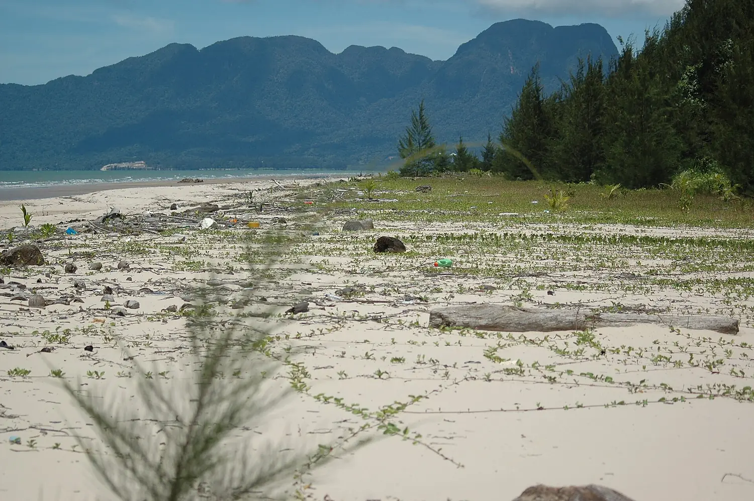Kucking wetlands beach