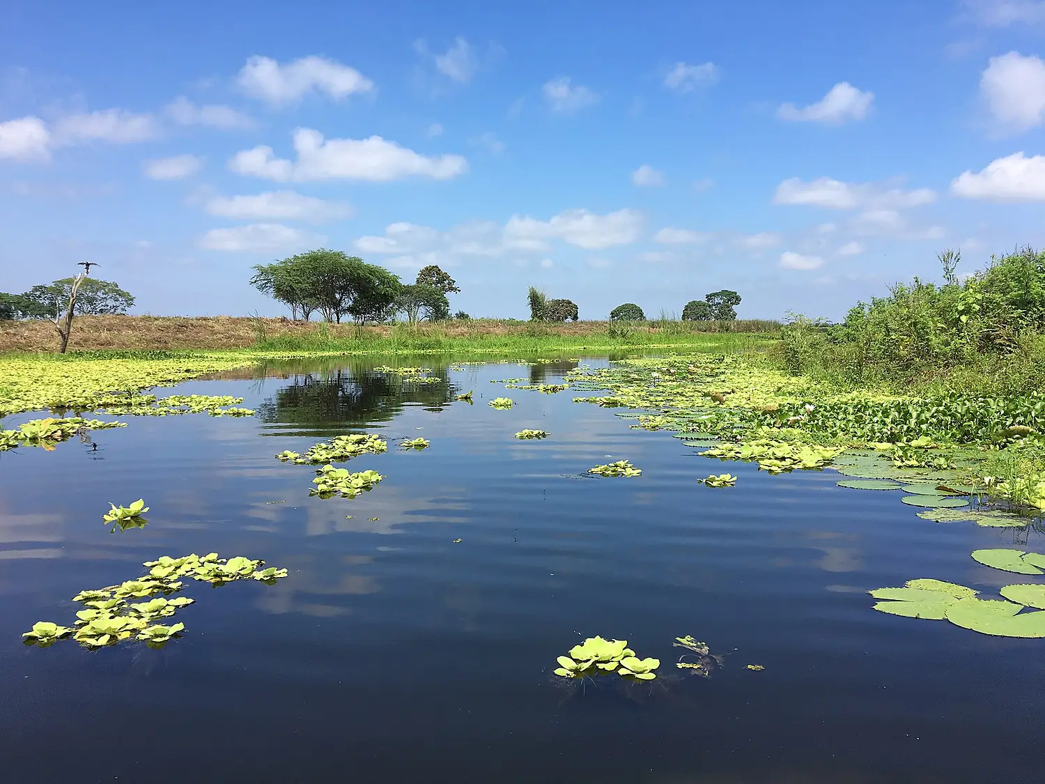 La Tembladera Ramsar wetland