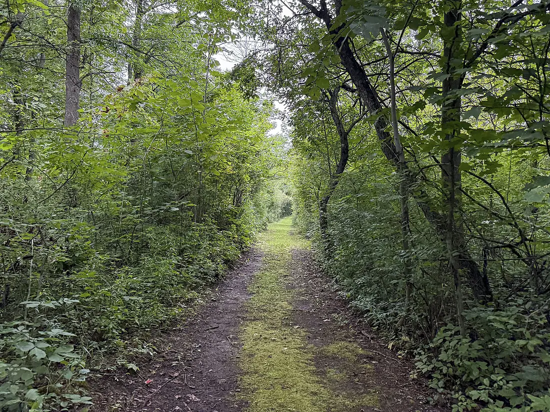 Réserve nationale de faune du Lac-Saint-François⁩, ⁨Dundee⁩, ⁨Quebec⁩, ⁨Canada⁩