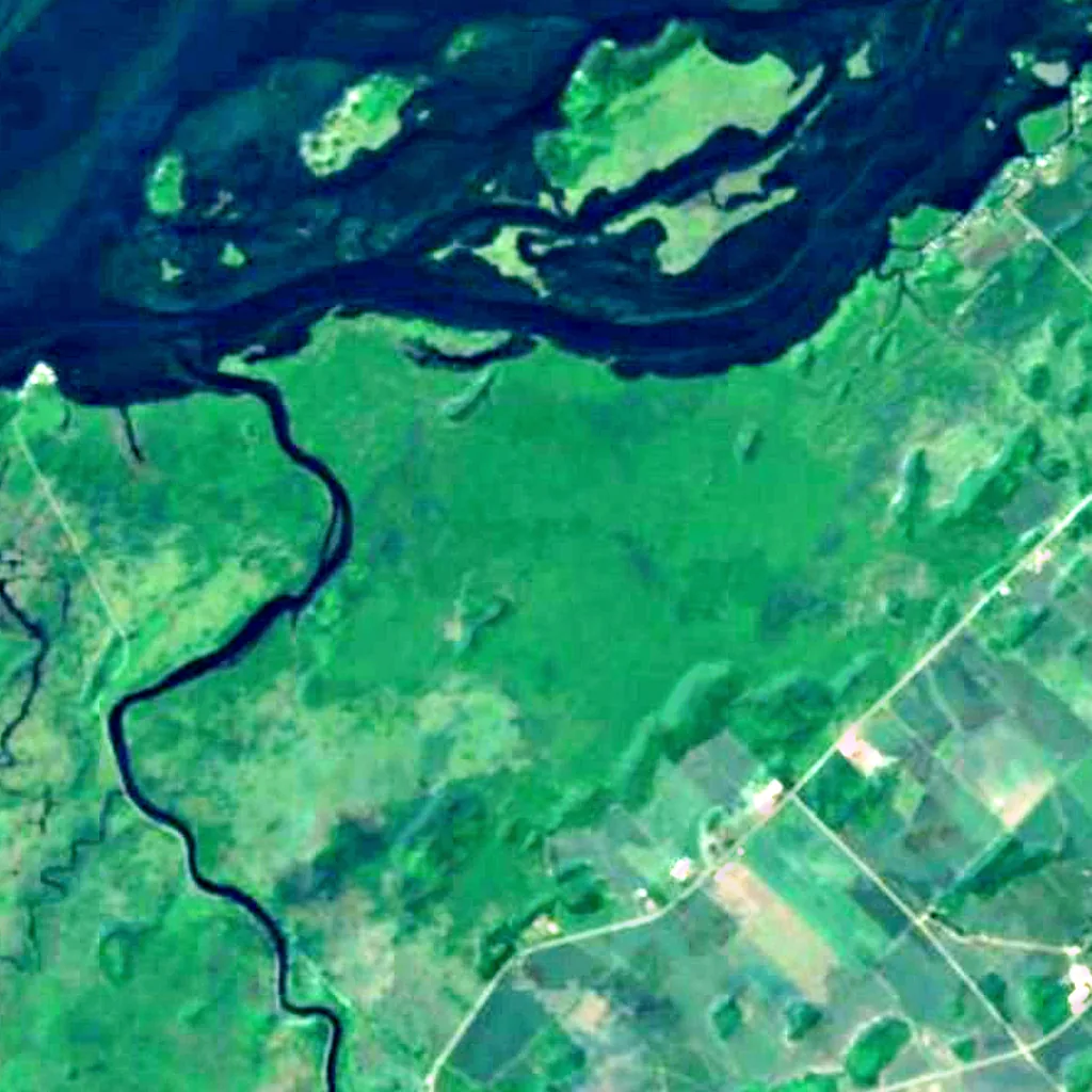 Lac Saint-François National Wildlife Area seen from above (Sentinel-2)
