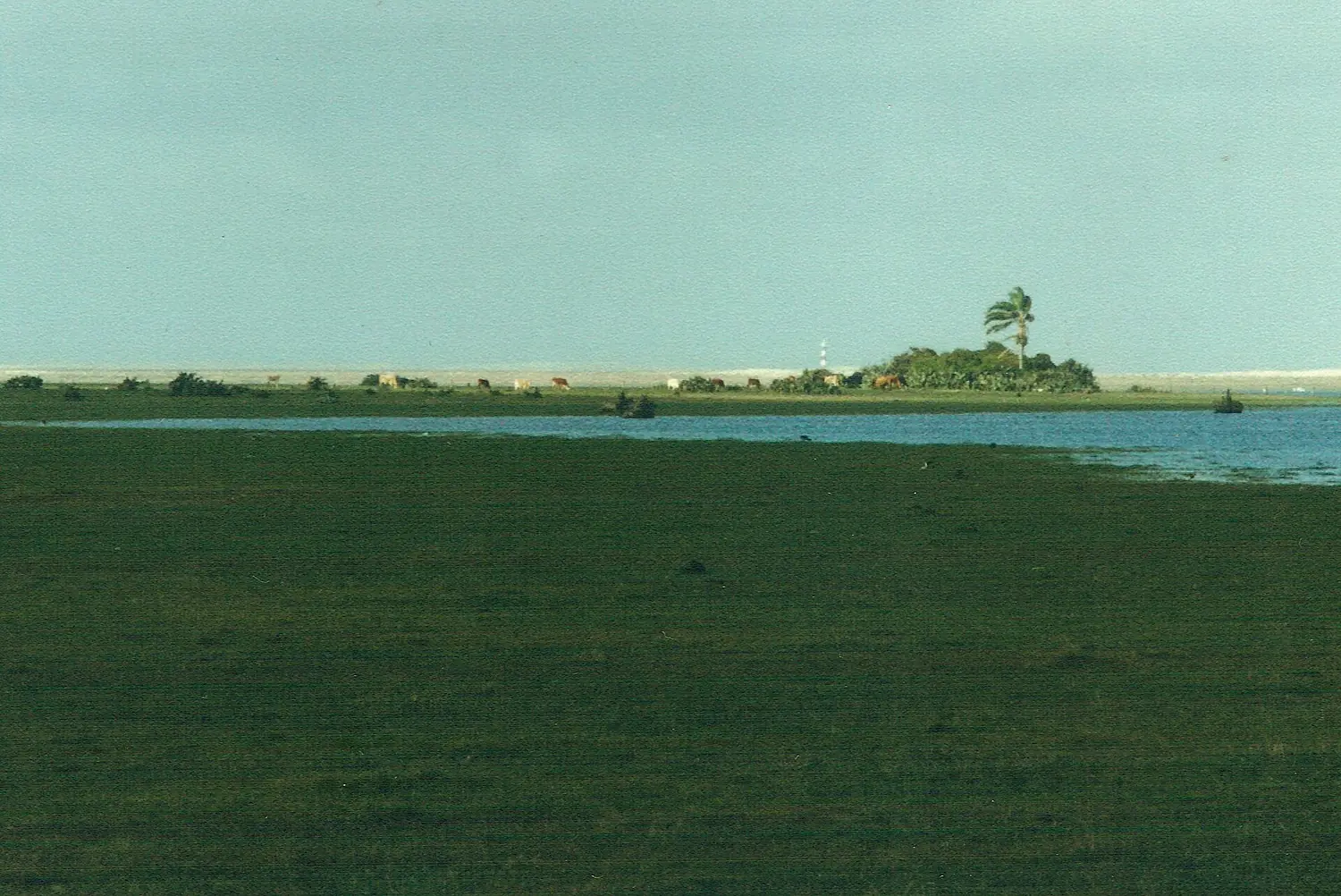 Farol, ao fundo - Parque Nacional da Lagoa do Peixe