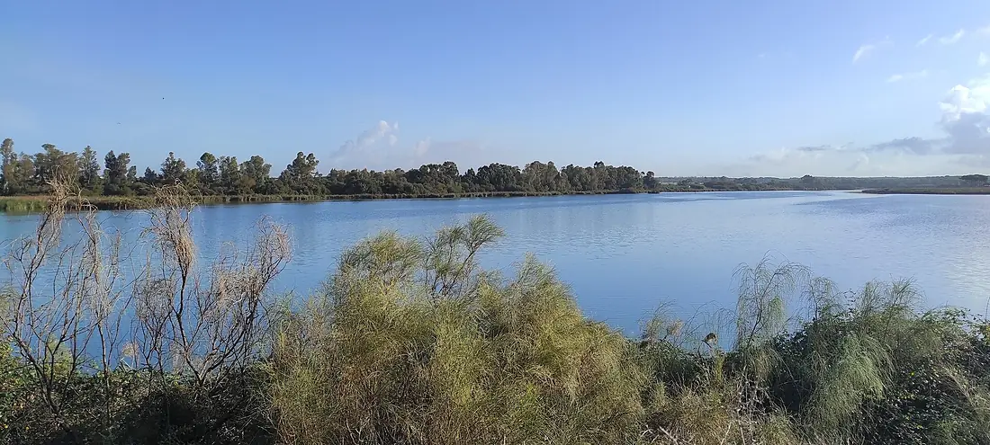 Laguna de Las Madres, Mazagón