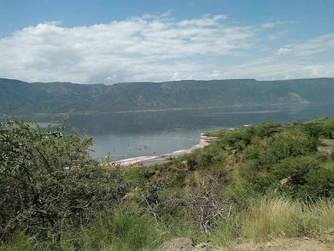 Lake Baringo 10
