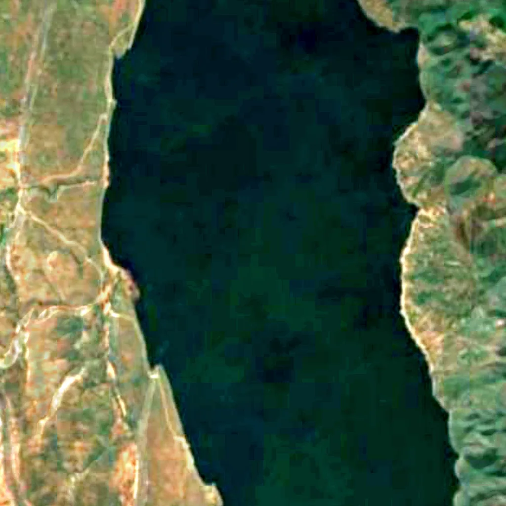 Lake Bogoria seen from above (Sentinel-2)